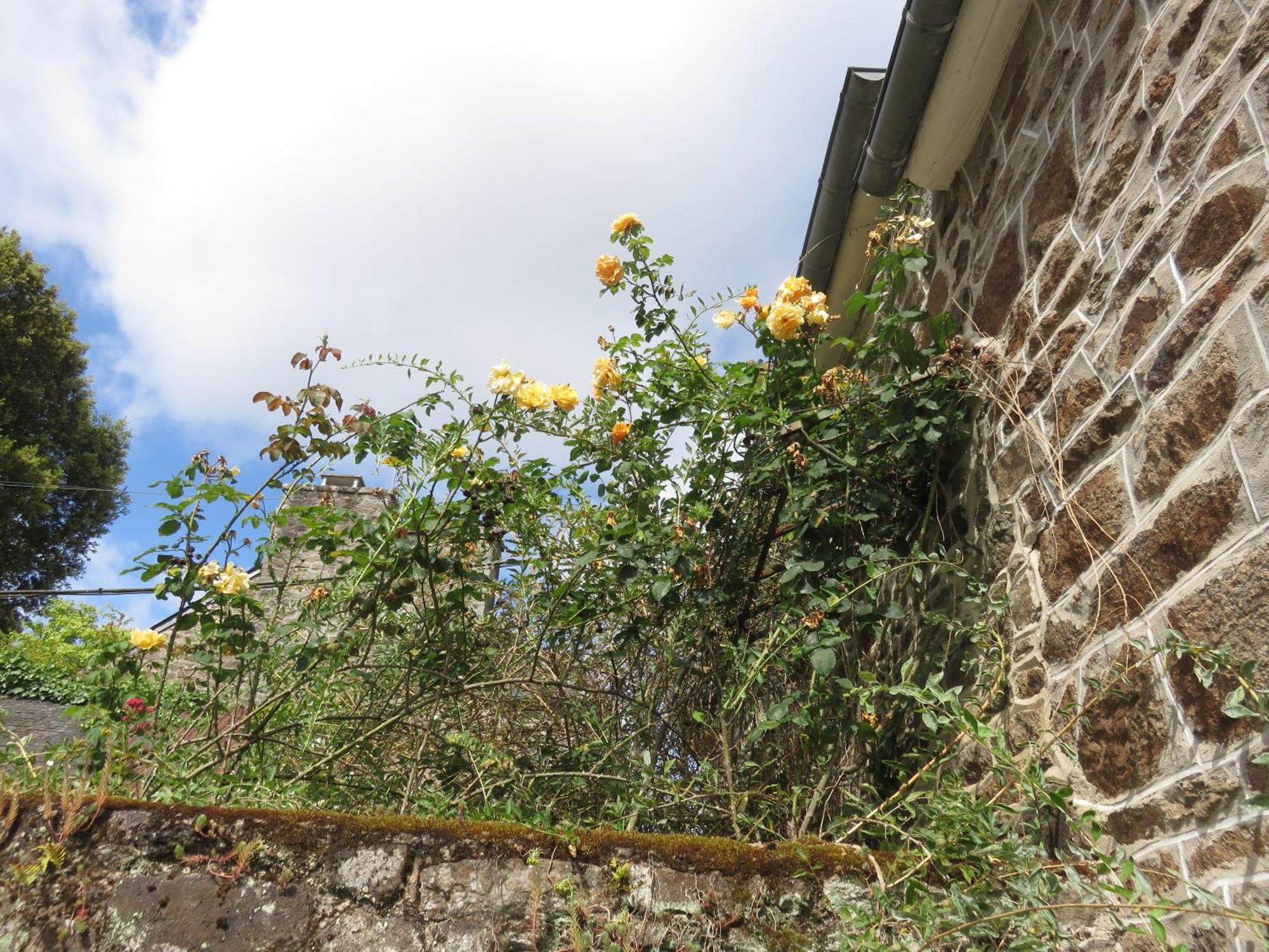 Le Jardin A Mordreuc Bed & Breakfast Pleudihen-sur-Rance Ngoại thất bức ảnh